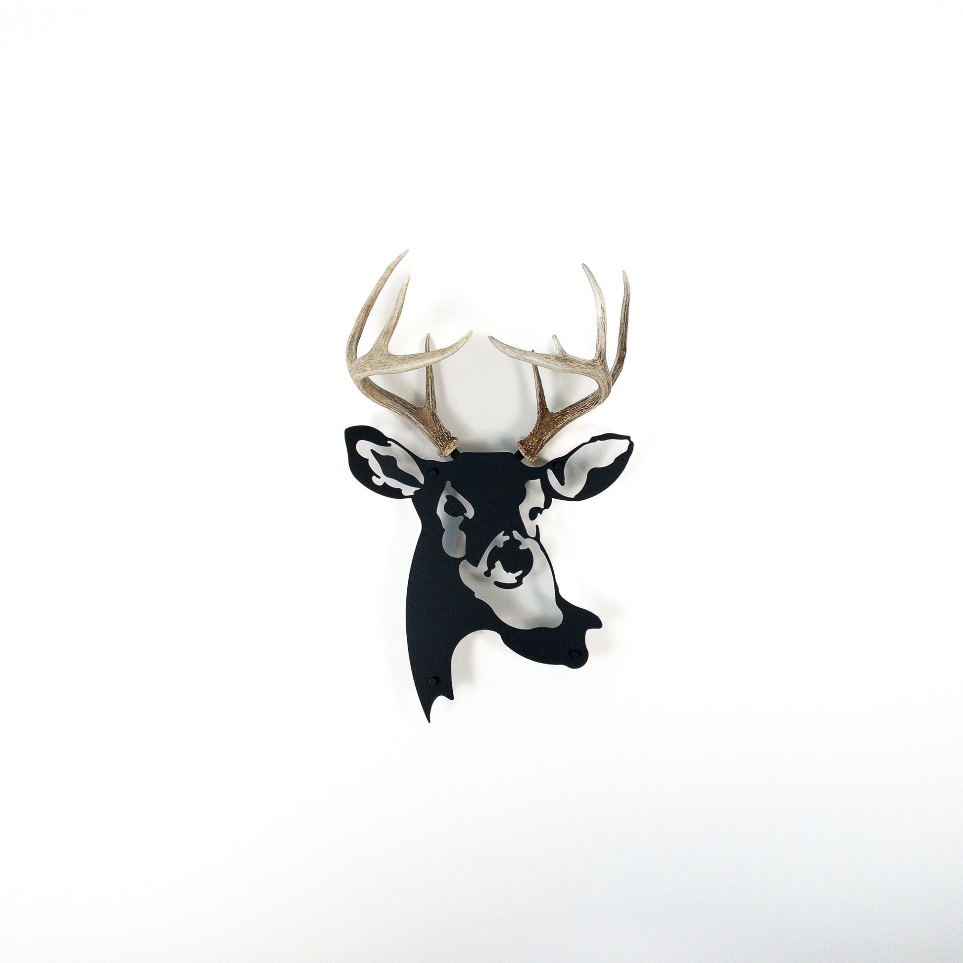 A metal wall decor made from real shed  White-Tailed Deer antlers mounted on a metal head