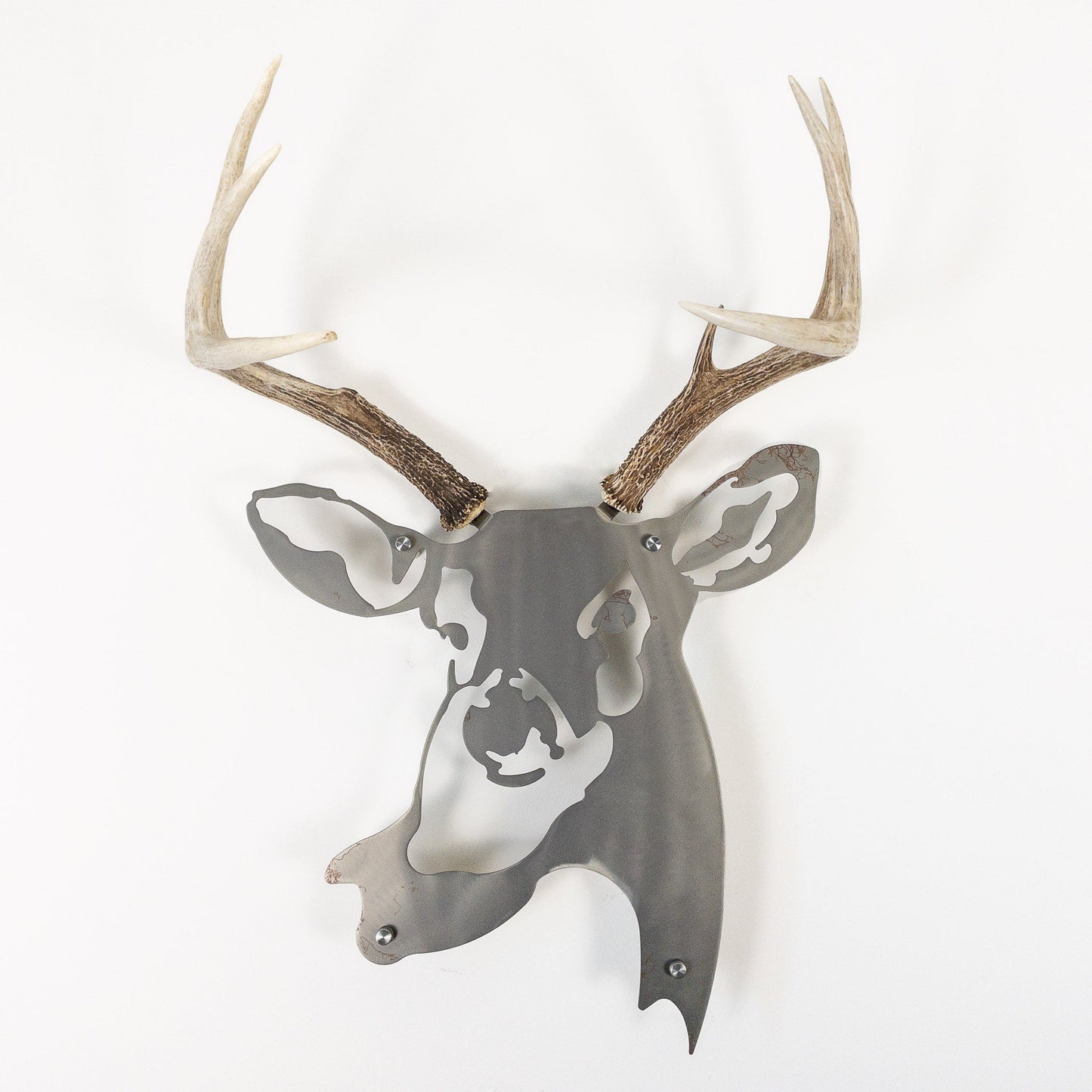 A metal wall decor made from real shed White-Tailed Deer antlers mounted on a metal head