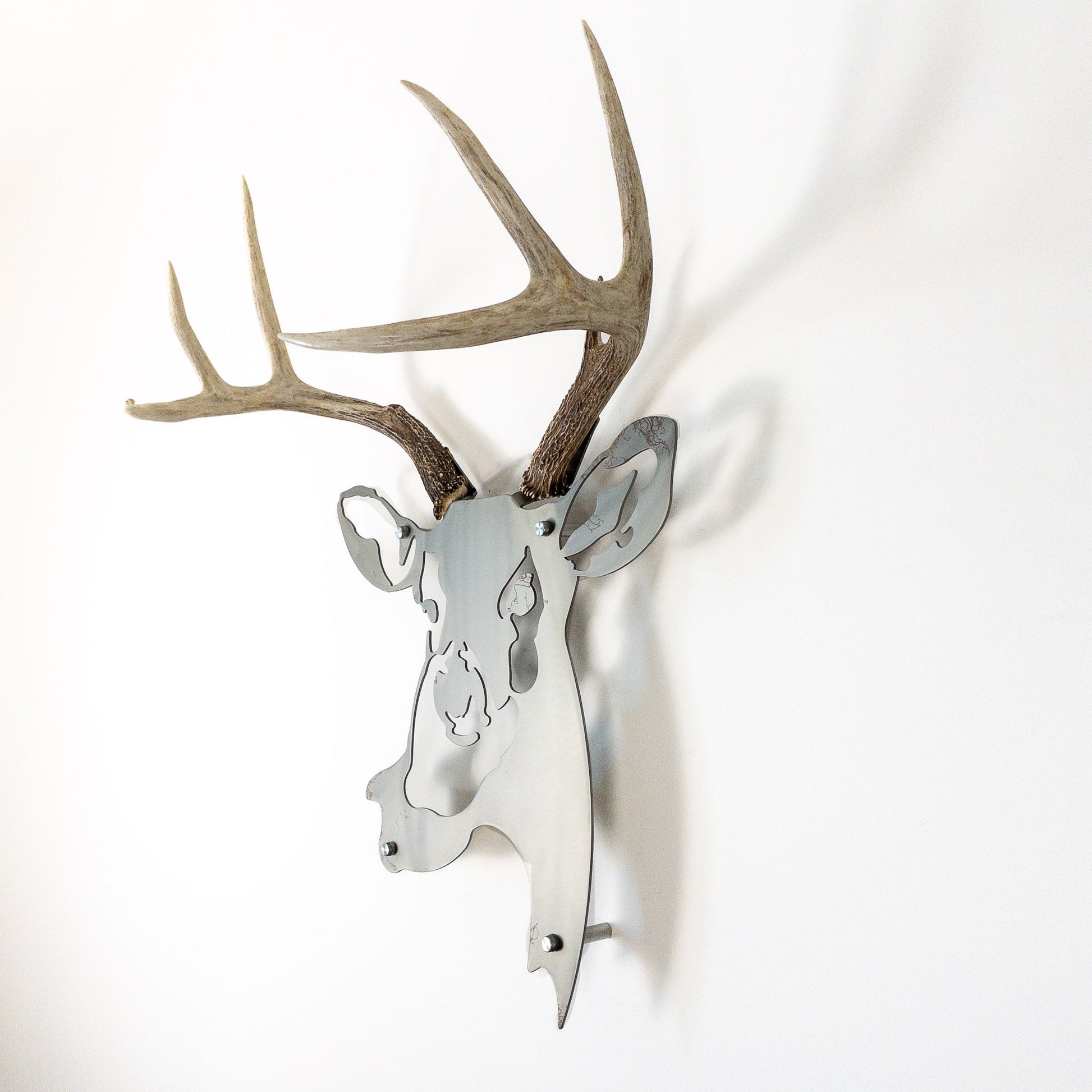 A metal wall decor made from real shed  White-Tailed Deer antlers mounted on a metal head