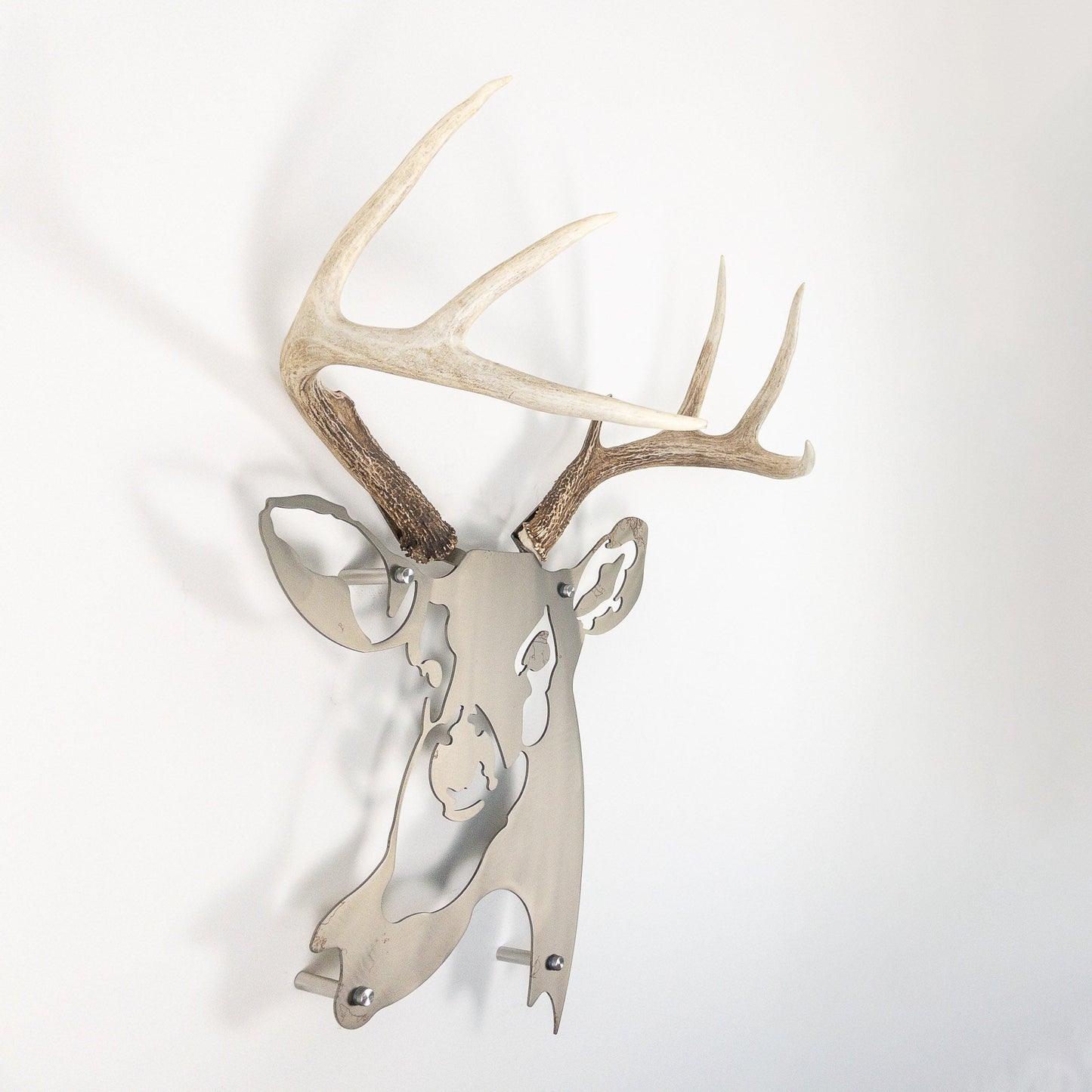 A metal wall decor made from real shed White-Tailed Deer antlers mounted on a metal head