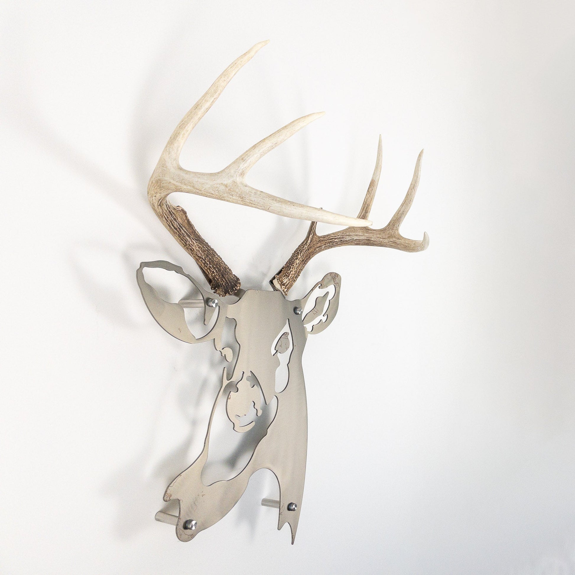 A metal wall decor made from real shed  White-Tailed Deer antlers mounted on a metal head