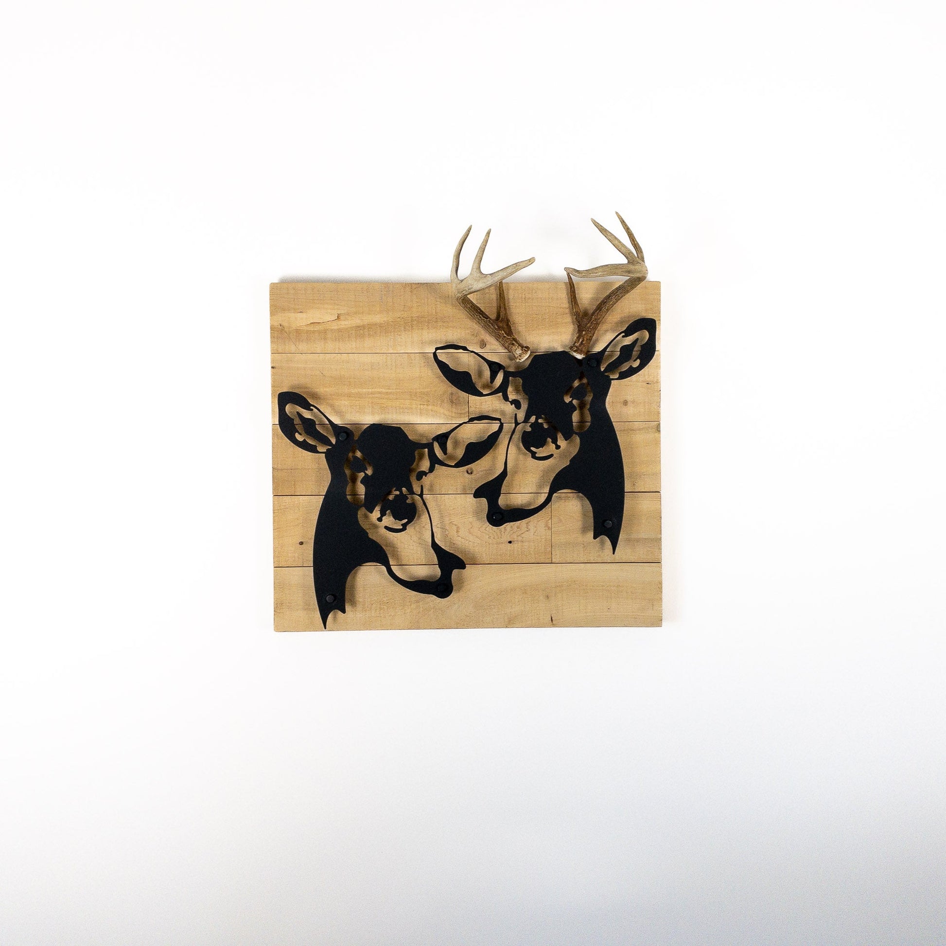 A metal wall decor made from real ethically sourced  White-Tailed Deer antlers mounted on a metal head