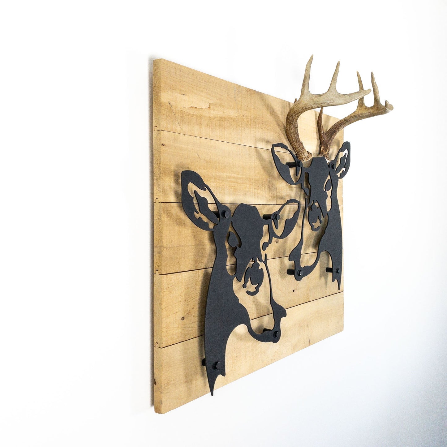 A metal wall decor made from real ethically sourced  White-Tailed Deer antlers mounted on a metal head