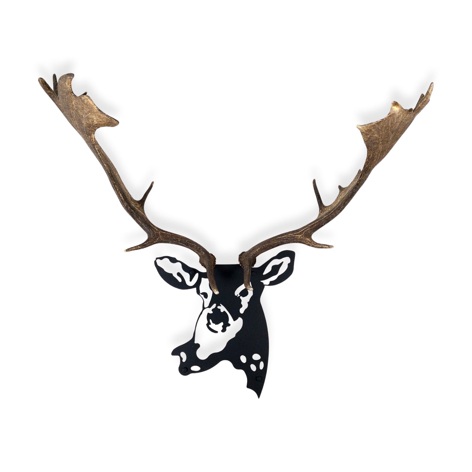 An antler & metal wall decor from Dekor Nature with XX Large fallow deer antlers