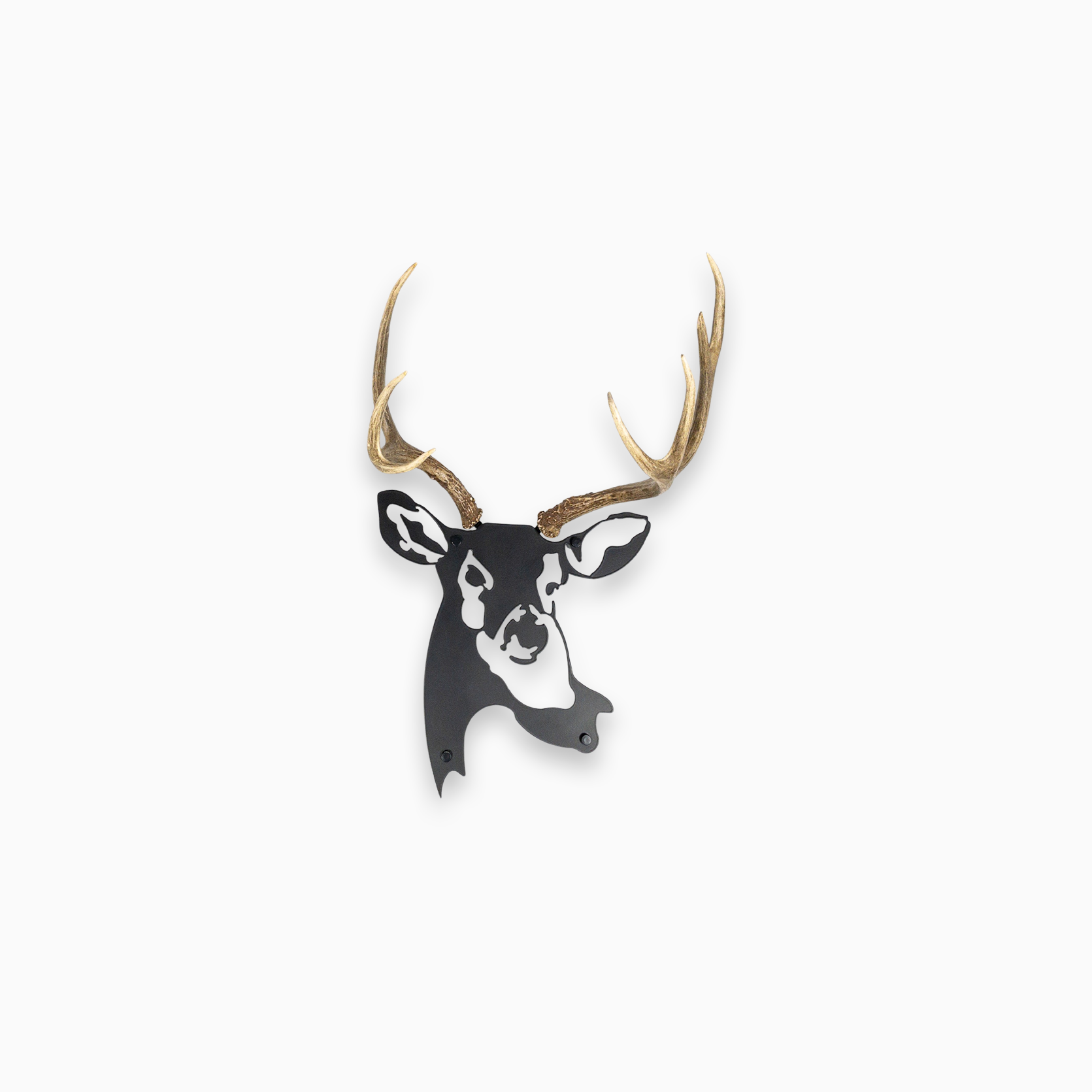A metal wall decor by Dekor Nature made from real Deer antlers mounted on a metal head