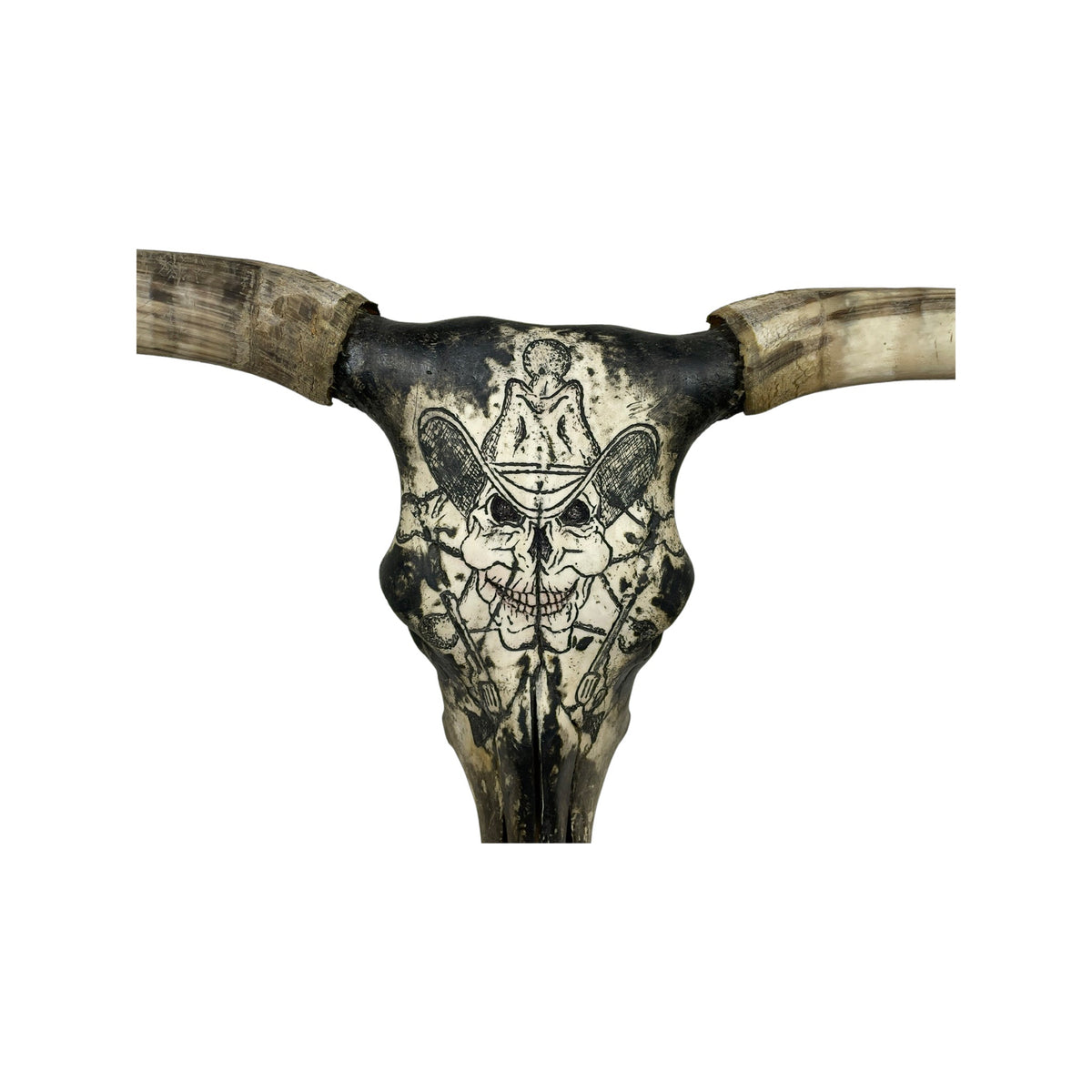 A Longhorn Engraved Skull Taxidermy Wall Decor featuring a skull wih a cowboy hat