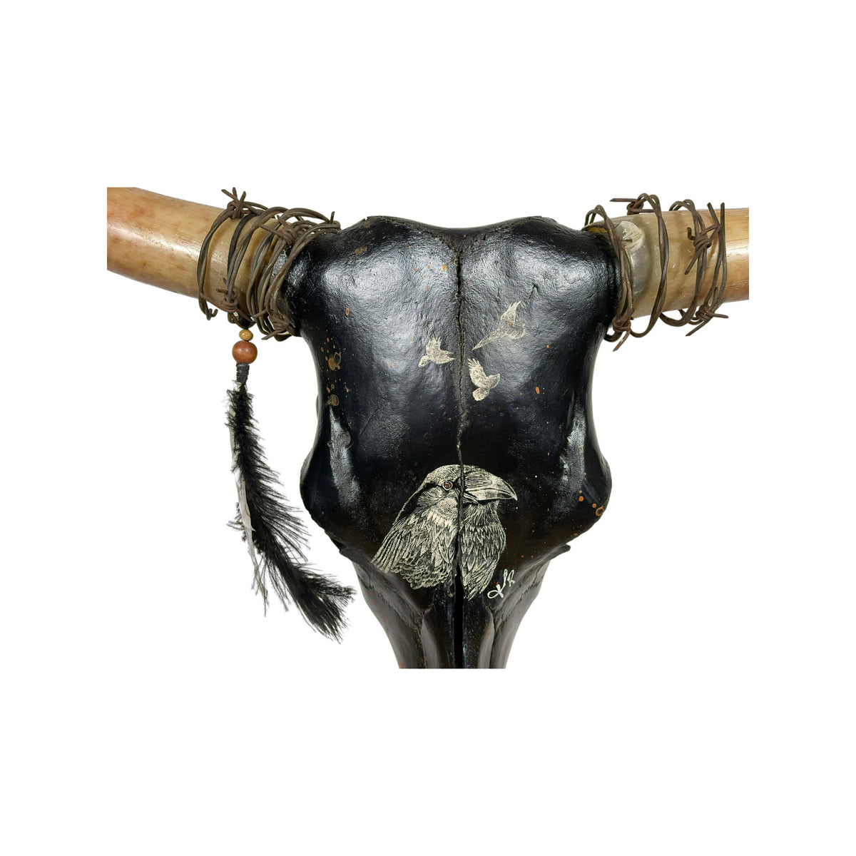 A Longhorn Engraved Skull Taxidermy Wall Decor featuring a large crow bird and 3 flying crows