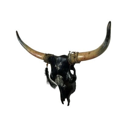 A Longhorn Engraved Skull Taxidermy Wall Decor featuring a large crow bird and 3 flying crows