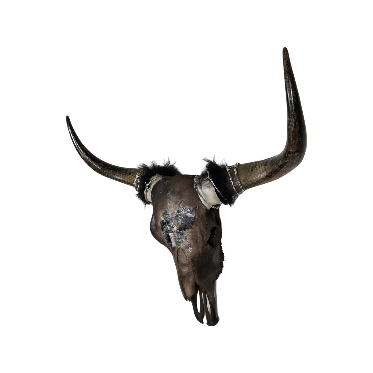 A Yak Engraved Skull Taxidermy Wall Decor featuring a Yak and a young girl looking at each other