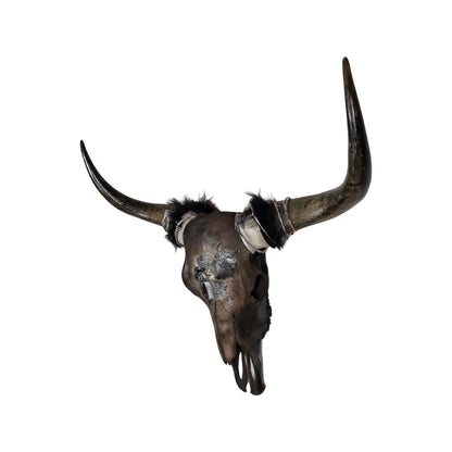 A Yak Engraved Skull Taxidermy Wall Decor featuring a Yak and a young girl looking at each other