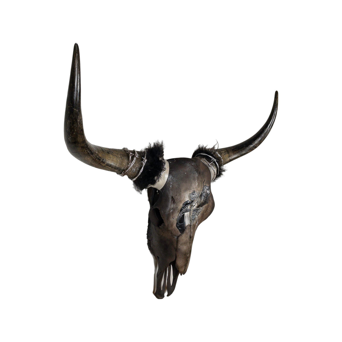 A Yak Engraved Skull Taxidermy Wall Decor featuring a Yak and a young girl looking at each other