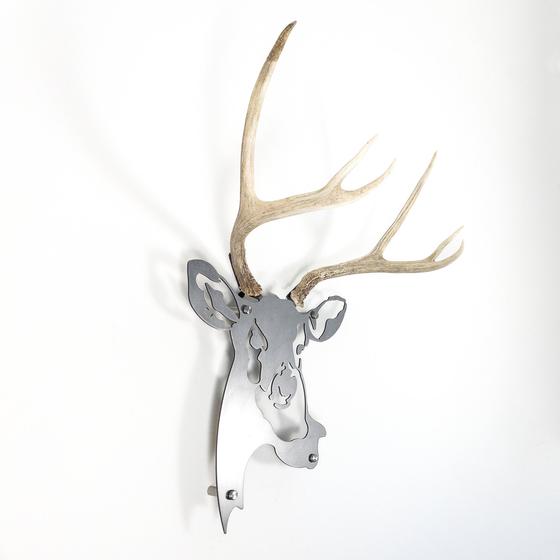 A metal wall decor made from real shed  Mule Deer antlers mounted on a metal head