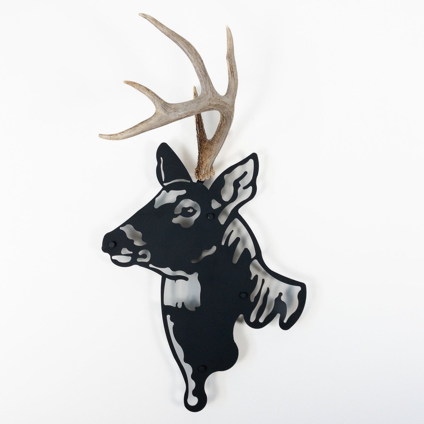 A metal wall decor made from real shed antler   White-Tailed Deer antlers mounted on a metal head